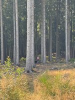 IMG_0644.jpeg
