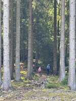 IMG_0645.jpeg