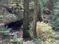 IMG_0646.jpeg