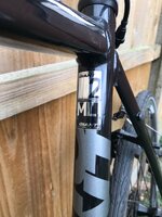 IMG_2713.jpeg