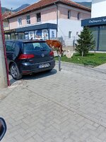 20250824_110602.jpg
