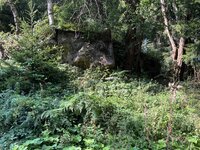 IMG_0660.jpeg
