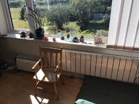 IMG_0256.jpeg