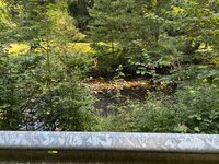 IMG_0675.jpeg