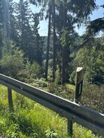 IMG_0680.jpeg