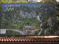 IMG_3765.jpg