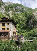IMG_3767.jpeg
