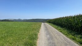 IMG_4915.jpeg