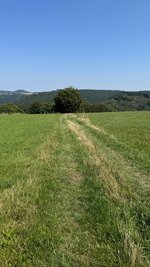 IMG_4917.jpeg