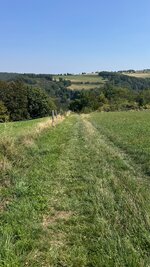 IMG_4919.jpeg