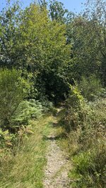 IMG_4921.jpeg