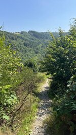 IMG_4924.jpeg