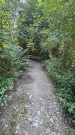 IMG_4926.jpeg