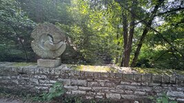 IMG_4931.jpeg