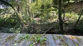 IMG_4932.jpeg