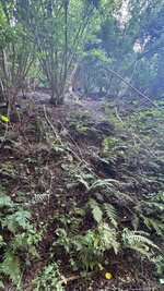 IMG_4939.jpeg