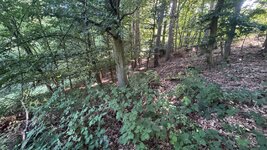 IMG_4944.jpeg