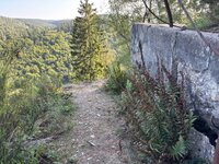 IMG_0682.jpeg
