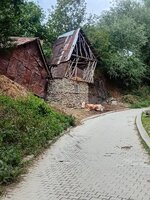 20250825_123232.jpg