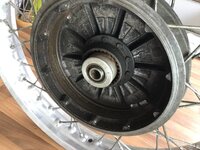 IMG_0181.jpeg