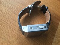 IMG_3135.jpeg