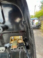 IMG_0069.jpeg