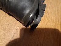 20250826_151254.jpg
