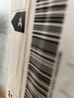 IMG_8466.jpeg
