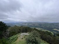 IMG_8867.jpeg