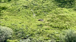 IMG_8902.jpeg