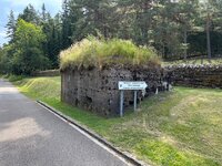 IMG_3581.jpeg