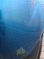 IMG_5260.jpeg
