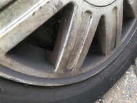 IMG_5271.jpeg