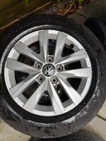 IMG_4505.jpeg
