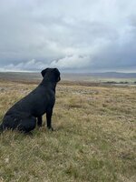 IMG_0536.jpeg
