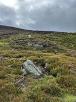 IMG_0542.jpeg
