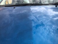 IMG_5356.jpeg