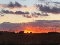 IMG_5367.jpeg