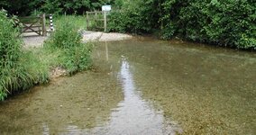 P1010005.JPG