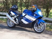 tibi3.JPG
