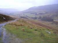 DSCN3346A.jpg