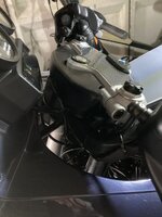 IMG_8088.jpeg