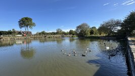 IMG_7909.jpeg
