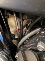 IMG_3639.jpeg