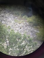IMG_2792.jpeg
