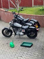 IMG_8146.jpeg IMG_8146.jpeg