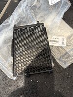 IMG_1007.jpeg