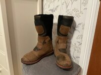IMG_0217.jpeg