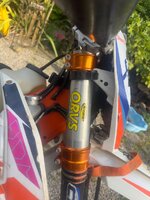 IMG_1175.jpeg