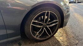 IMG_6876.jpeg